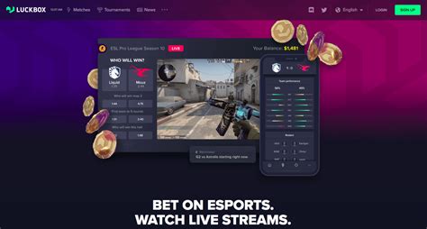 best csgo betting sites - best cs2 gambling websites